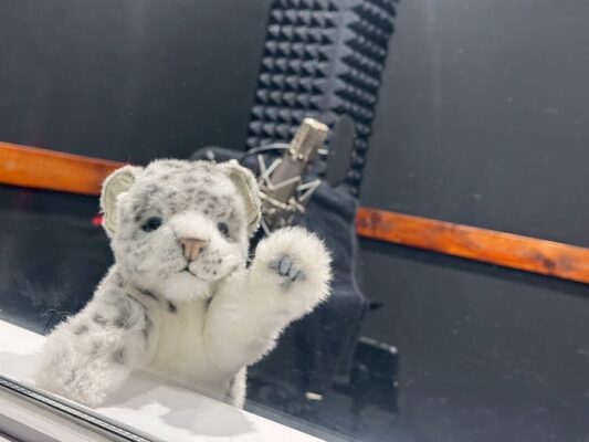 ライバー向け｜歌ってみたデビュー完全攻略！レコーディング機材の選び方から初心者でも失敗しないスタジオ活用法